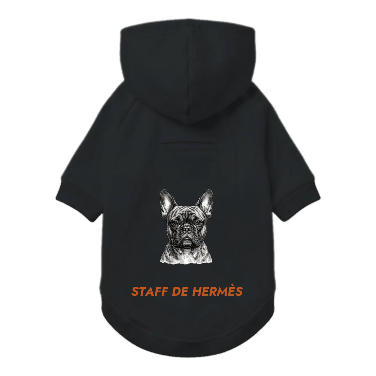 sweat-chien-dos-black
